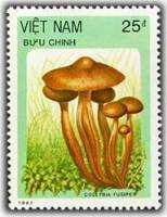 (1987-114) Марка Вьетнам "Коллибия веретеноногая"    Грибы III Θ