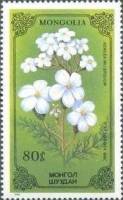 (1986-044) Марка Монголия "Тысячелистник обыкновенный"    Лекарственные растения III O