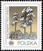 (1978-035) Марка Польша "Сосна обыкновенная "    Охрана окружающей среды III Θ