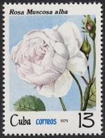 (1979-062) Марка Куба "Роза мускусная"    Розы III O