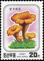 (1987-005) Марка Северная Корея "Лисички"   Грибы III Θ