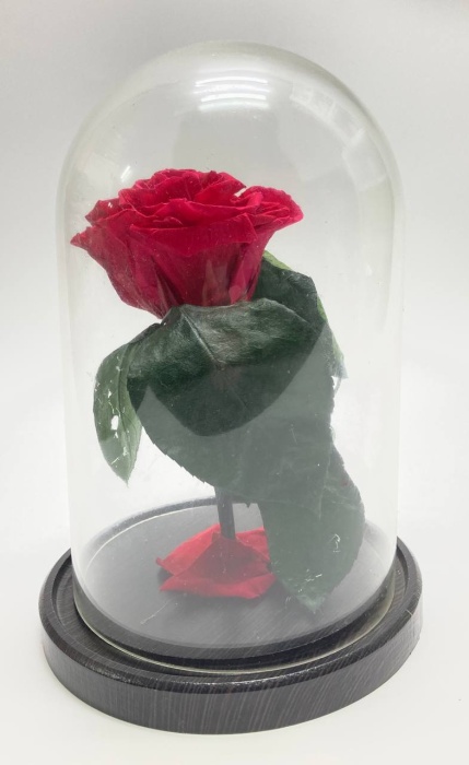 Роза в колбе живая стабилизированная