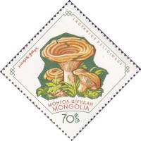 (1964-007) Марка Монголия "Рыжик настоящий"    Грибы III Θ