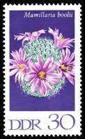 (1970-105) Марка Германия (ГДР) "Бородавчатый кактус"    Кактусы III Θ