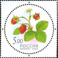 2003-067 Марка Россия Земляника  Дары природы III O