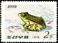 (1974-049) Марка Северная Корея "Чернопятнистая лягушка"   Земноводные III Θ