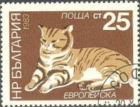 (1983-060) Марка Болгария "Домашняя кошка "   Кошки II Θ
