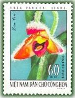(1976-031) Марка Вьетнам "Эрия паннеа"   Орхидеи III Θ