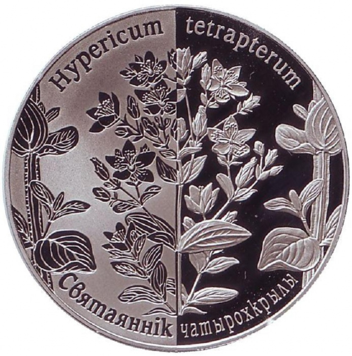 (2014) Монета Беларусь 2014 год 1 рубль &quot;Зверобой&quot;  Медь-Никель  PROOF