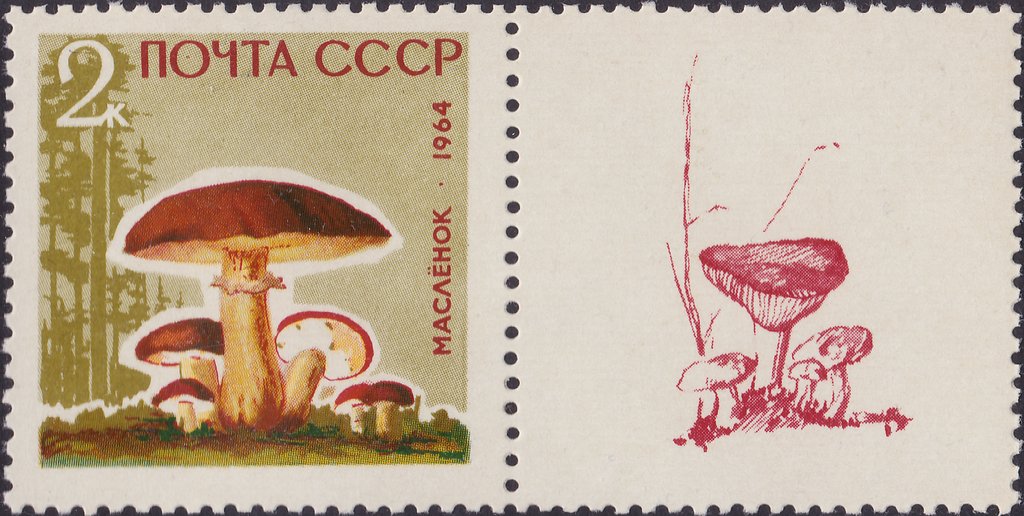 (1964-152-156) Серия Набор марок с купонами (5 шт) СССР     Грибы III O