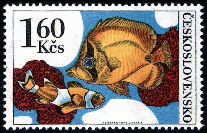 (1975-029) Марка Чехословакия &quot;Оранжевый Клоун&quot;    Аквариумные рыбы II Θ