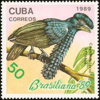 (1989-053) Марка Куба "Амазонская зонтичная птица"    Птицы III Θ