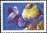 1975-072 Марка СССР Турухтан  Фауна III O