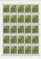 1975-107  Лист (25 м 5х5) СССР Ветреница лютичная  Флора III O