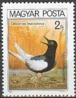 (1980-054) Марка Венгрия "Белокрылая болотная крачка"    Европейская природоохранная кампания "Защит
