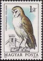 (1984-069) Марка Венгрия "Обыкновенная сипуха"    Защита птиц. Совы II Θ