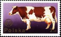 (1975-029) Марка Польша "Корова"    20-й конгресс Европейской зоотехнической Федерации III Θ