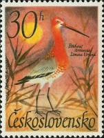 (1967-008) Марка Чехословакия "Большой Веретенник "    Водоплавающие птицы III Θ