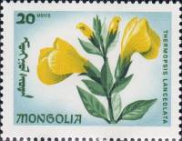 (1966-029) Марка Монголия "Термопсис"    Эндемические цветы II Θ