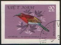 (1981-027) Марка Вьетнам "Желтоспинная острохвостая нектарница"    Птицы III Θ
