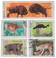 1969-075-79  Серия Набор марок (5 шт) СССР  Беловежская пуща III Θ