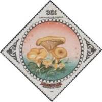 (1985-059) Марка Монголия "Лисичка обыкновенная"    Грибы III Θ