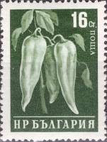 (1958-033) Марка Болгария "Перец" Перф греб 13   Стандартный выпуск. Овощи III O