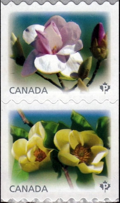 (№2013-2946) Лист марок Канада 2013 год &quot;Магнолии&quot;, Гашеный