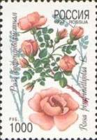 1997-004 Марка Россия Роза бедренцеволистная  Флора. Декоративные кустарники России III O
