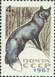 1967-077 Марка СССР Серебристо-черная лиса   Пушные промысловые звери II O