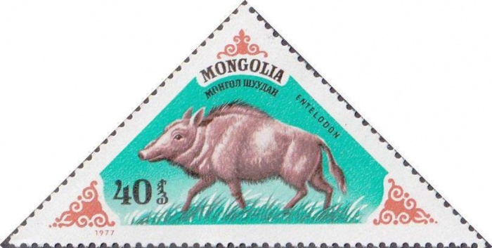 (1977-029a) Сцепка тет-беш (2 м) Монголия &quot;Энтелодонт&quot;    Доисторические животные III Θ
