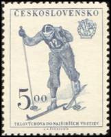(1951-032) Марка Чехословакия "Лыжи"    9 Сокол конгресс I Θ