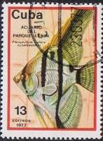 (1977-018) Марка Куба "Скалярии"    Аквариум парка Ленина I Θ