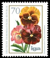 (1975-068) Марка Германия (ГДР) "Фиалка Виттрока"    Цветы III Θ