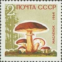 1964-152 Марка СССР Маслята Без лакирования   Грибы III O