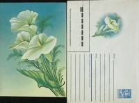 (1986-год) Худож. конверт с открыткой СССР "Лилия "      Марка