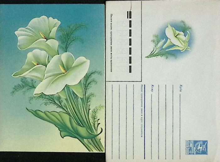 (1986-год) Худож. конверт с открыткой СССР &quot;Лилия &quot;      Марка