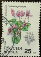 1993-016  Марка Россия Цикламен персидский  Комнатные растения III Θ