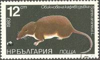(1983-095) Марка Болгария "Обыкновенная бурозубка"   Охраняемые животные II Θ