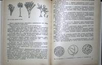 Книга Рациональное использование пролдуктов растениеводства. Справочник. 1985 В. Иванушкин Рига Твёр