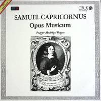 Пластинка виниловая , Opus Musicum Мелодия 300 мм. (Сост. отл.)