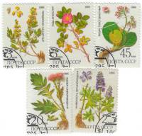 (1985-)Набор СССР "Лекарственные растения Сибири"     I Θ