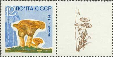 (1964-152-156) Серия Набор марок с купонами (5 шт) СССР     Грибы III O