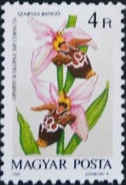 (1987-049) Марка Венгрия "Рогатый Офрид"    Орхидеи II &Theta;