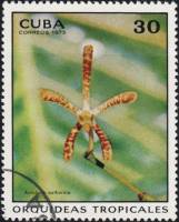 (1973-023) Марка Куба "Арахнис"    Орхидеи III Θ