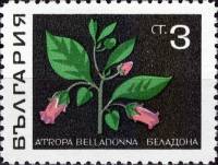 (1969-004) Марка Болгария "Беладонна (Красавка)"   Лекарственные растения III O