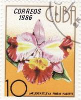 (1986-060) Марка Куба "Лаэлиокаттлея"    Орхидеи III Θ