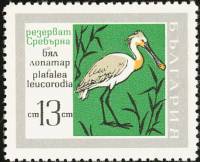 (1968-063) Марка Болгария "Колпица"   Заповедник «Серебряный» III O