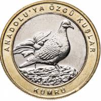 (2019) Монета Турция 2019 год 1 куруш   Биметалл  UNC