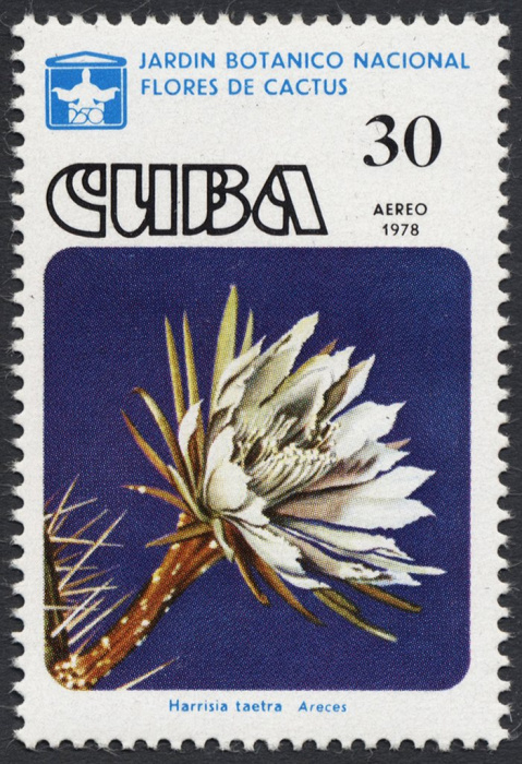 (1978-031) Сцепка (2 м) Куба &quot;Харрисия&quot;    Кактусы III Θ